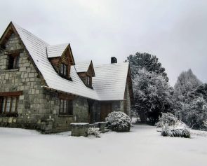 pnla nieve 4