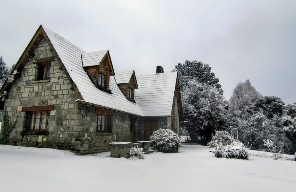 pnla nieve 4