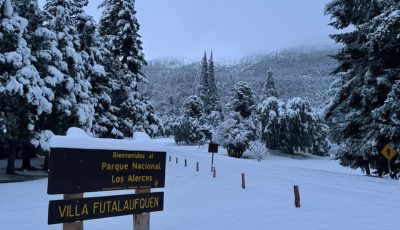 pnla nieve 5