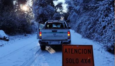 pnla nieve