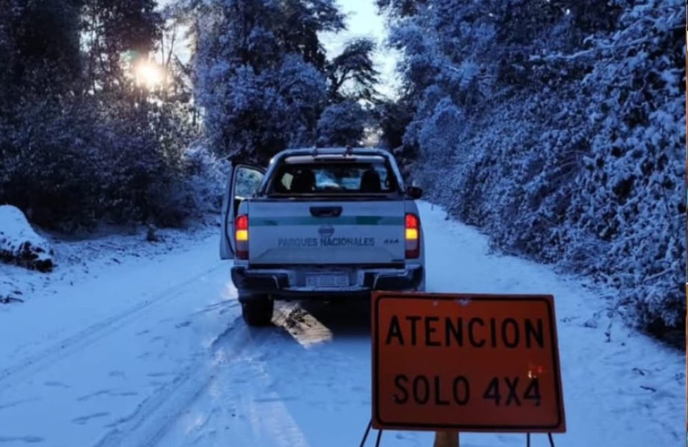 pnla nieve