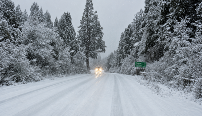 pnla nieve