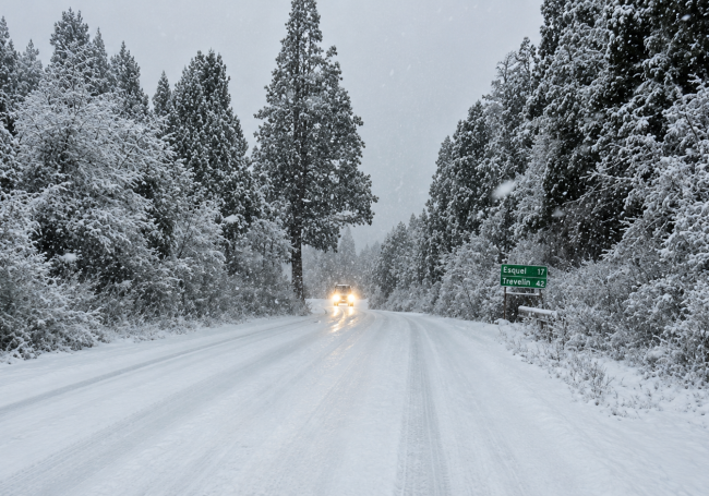 pnla nieve