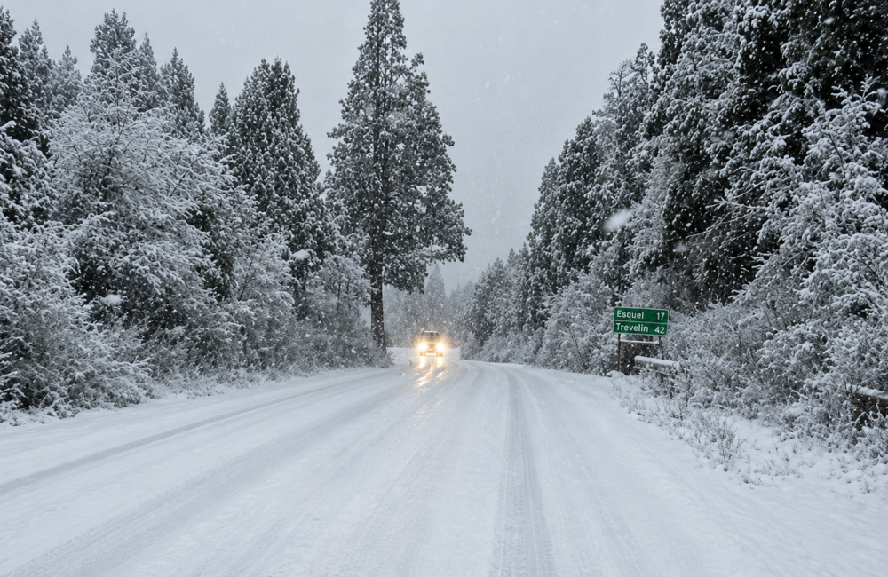 pnla nieve