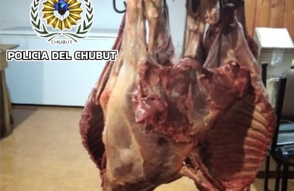 policiales el maiten 1.1