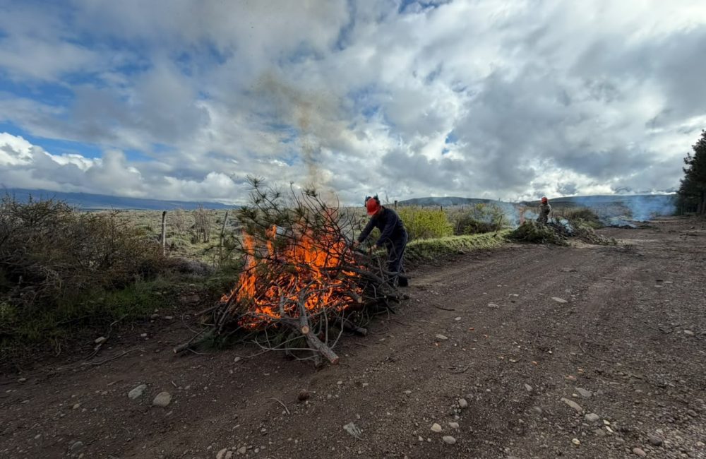 prevencion de incendios 1