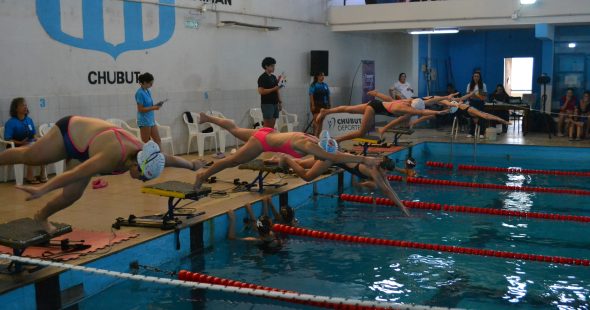 provincial de natacion 6