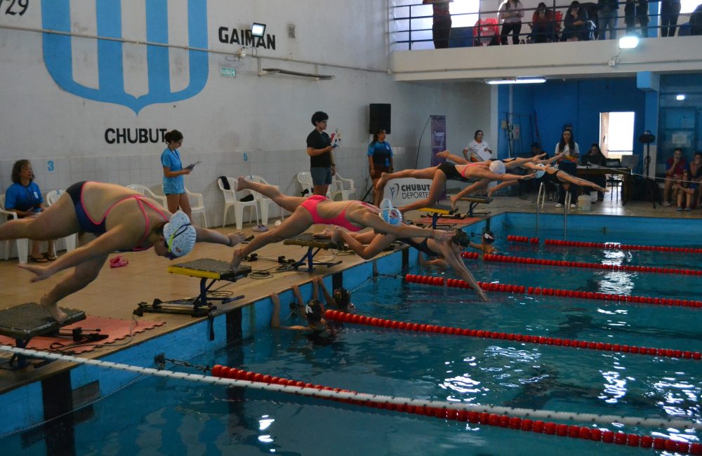provincial de natacion 6