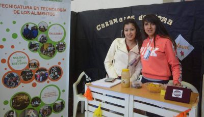 proyectos 01