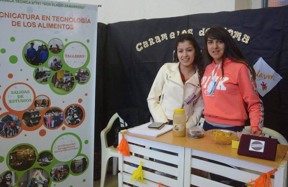 proyectos 01