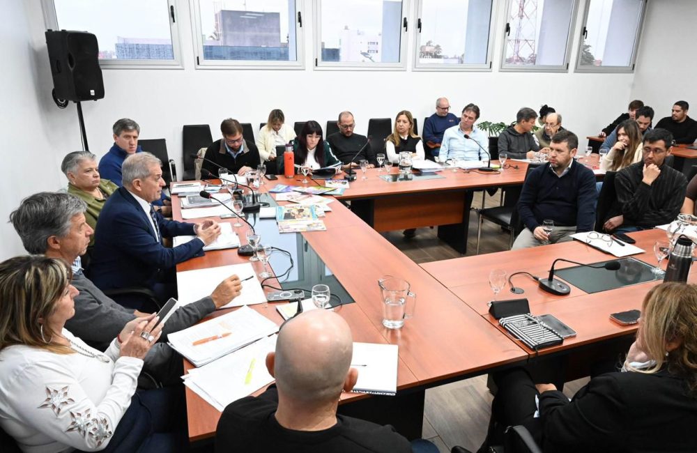 punta en la legislatura