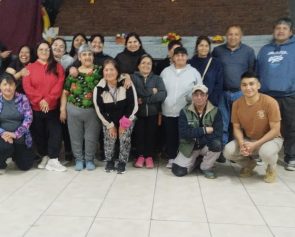 regularizacion juntas vecinales 01