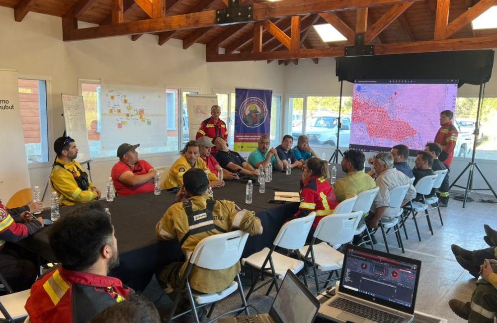 reunion operativa 13 de enero