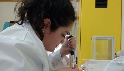 revista Current Microbiology 1