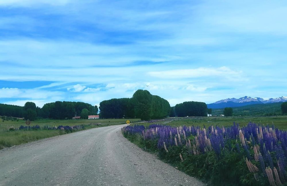 ruta 17 02