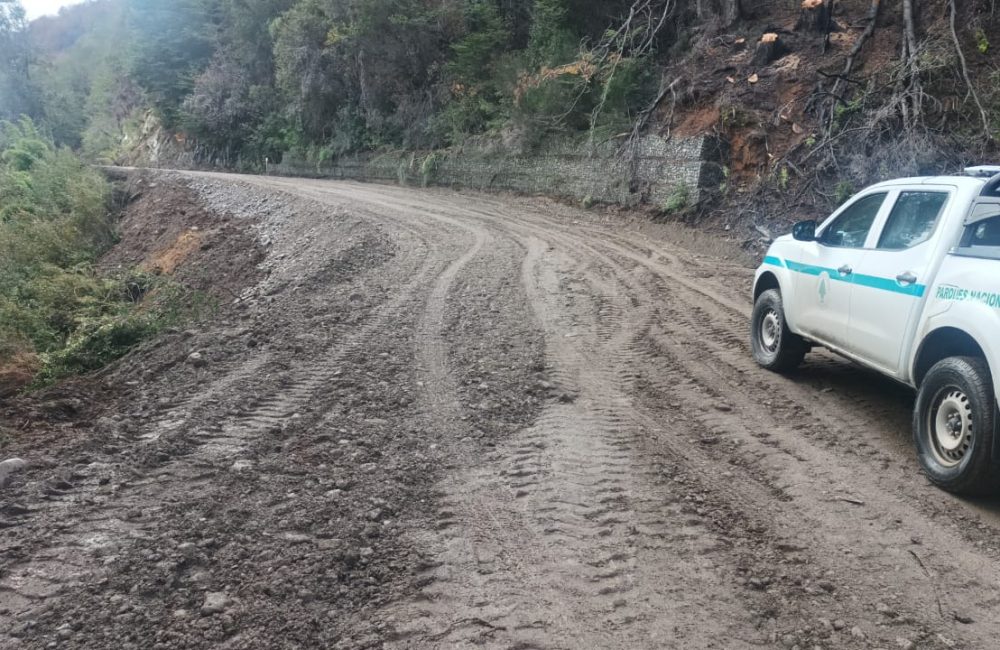 ruta 71 habilitada 3