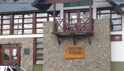 sec de bosques