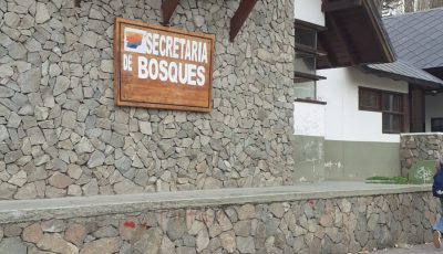 sec de bosques.1 de junio