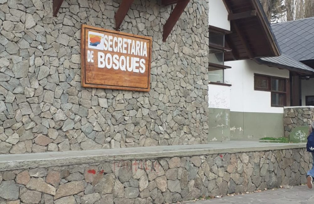 sec de bosques.1 de junio