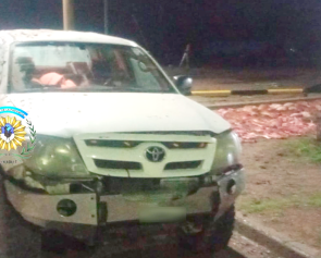 secuestro carne de guanaco portada