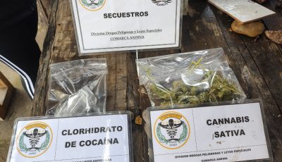 secuestro lago puelo