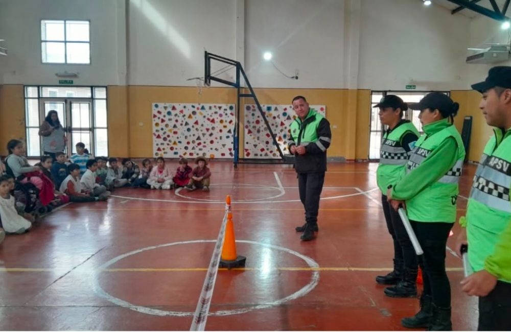 seguridad vial