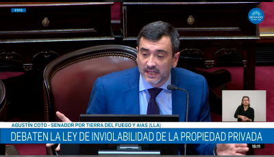 senador coto