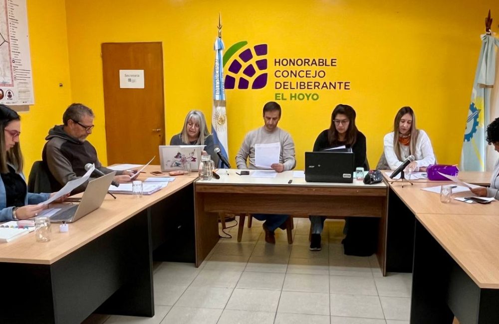 sesion concejo el hoyo (2)