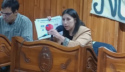 silvana sanchez albornoz presento proyecto