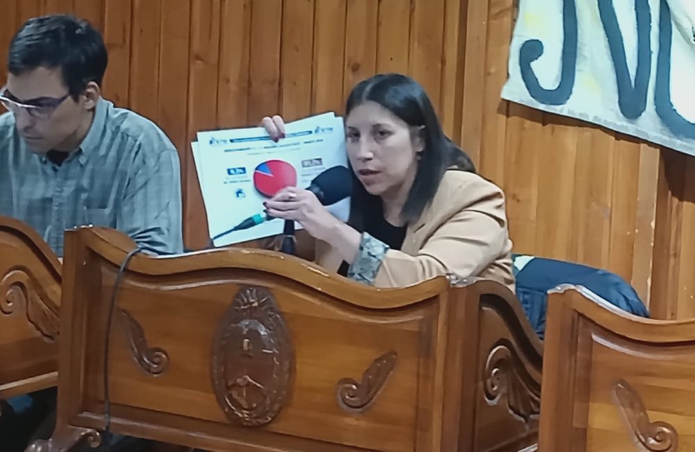 silvana sanchez albornoz presento proyecto