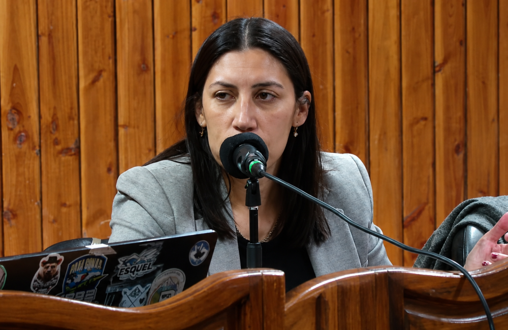 silvana sanchez albornoz