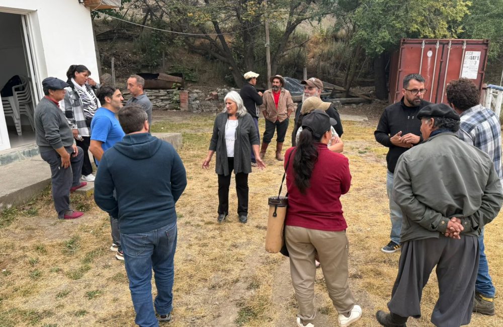 taccetta en rio percy 1