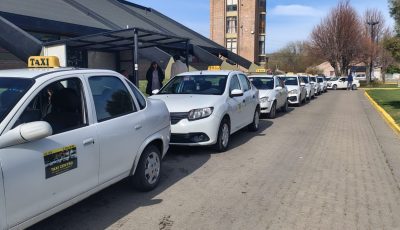 taxis