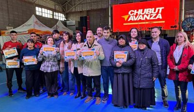 telebingo las plumas