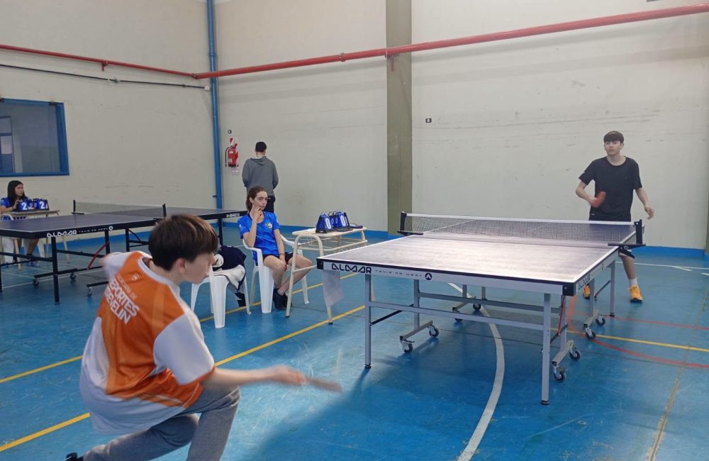 tenis de mesa treve3