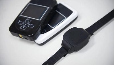 tobillera electronica