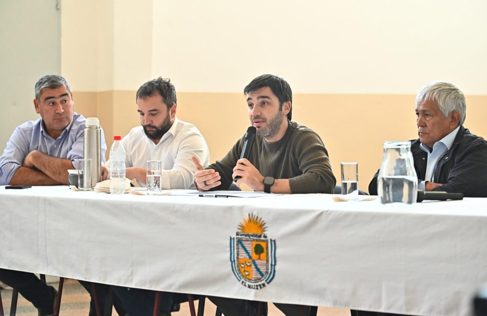 torres en el maitén (1)