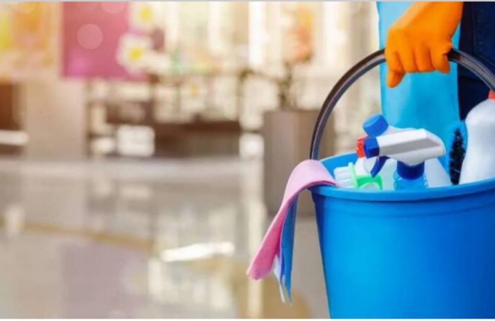 trabajadoras de casas particulares 1