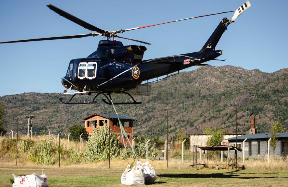 transporte plantines (2)