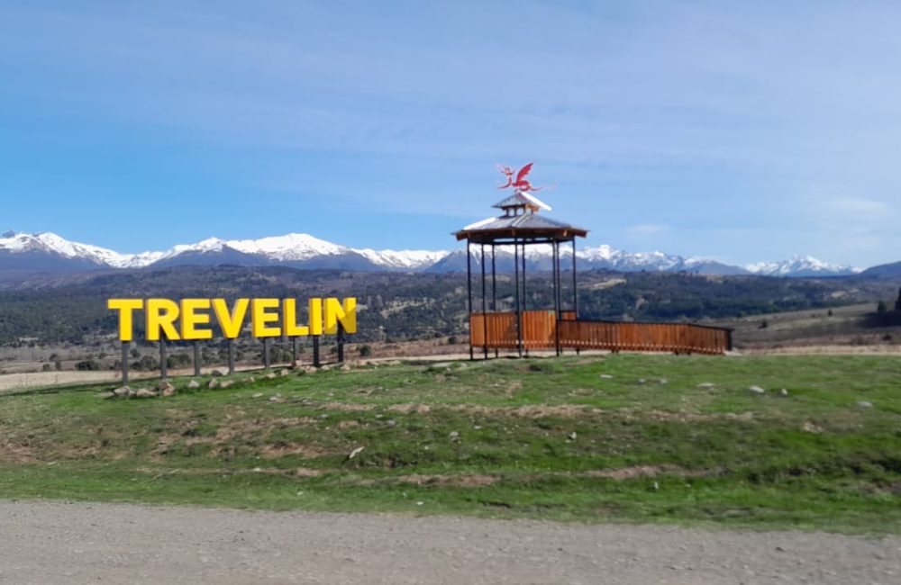 trevelin cartel
