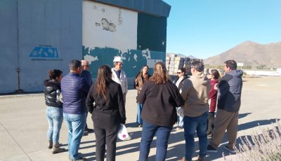 trevelin en la planta