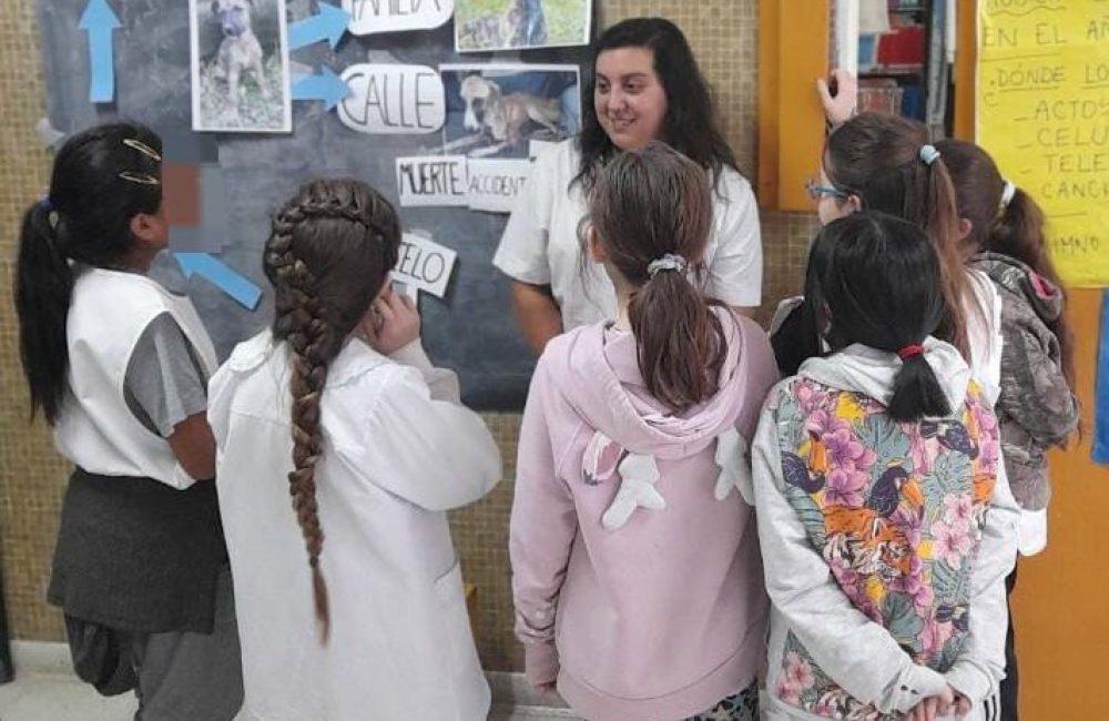 trevelin escuelas