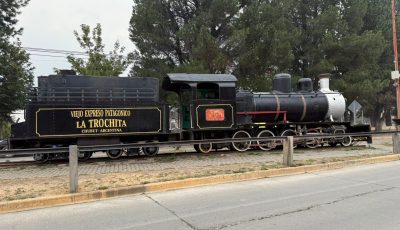 trochita av ameghino