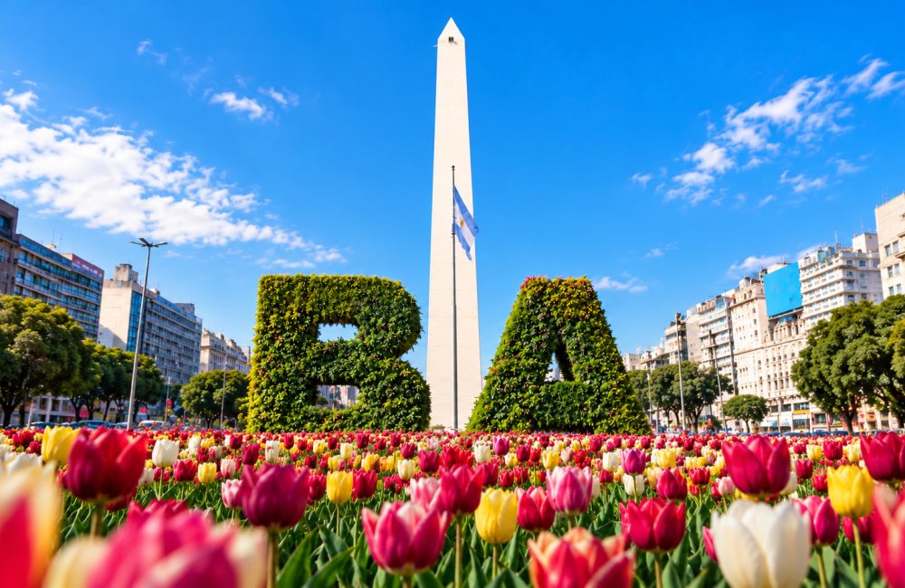 tulipanes en ba
