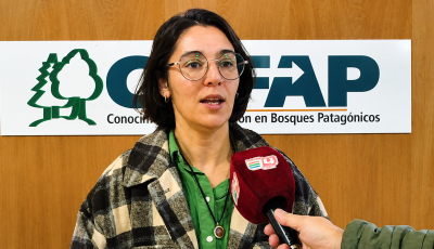 yamila arias ciefap