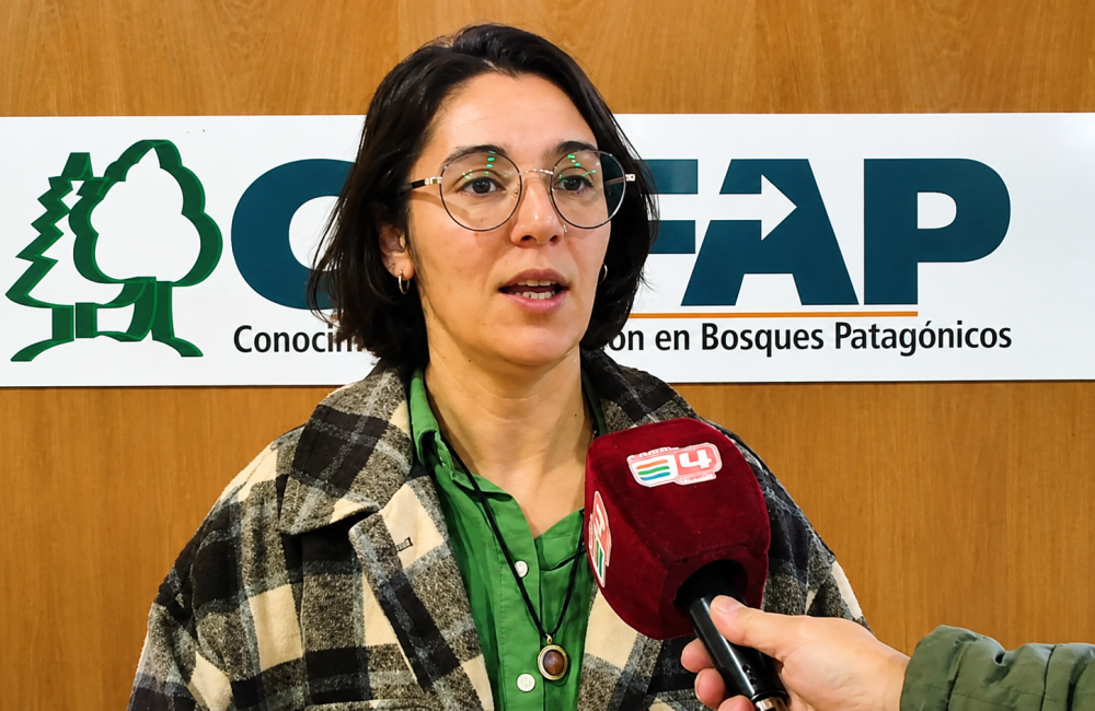 yamila arias ciefap